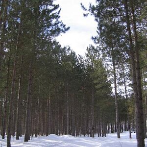 IMG 7795