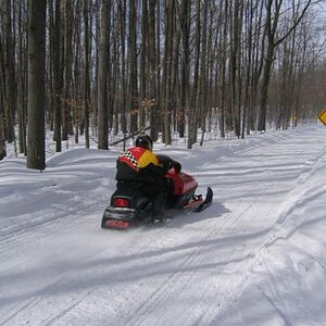 IMG 7800