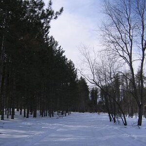 IMG 7804