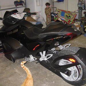 IMG 2556