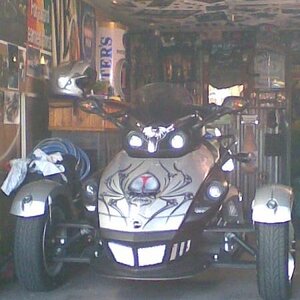 The spyders den