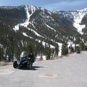 Mt. Charleston 1