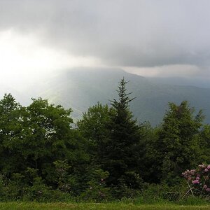 P1010024