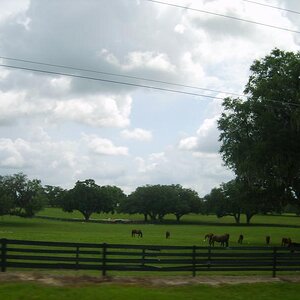 Marion County
