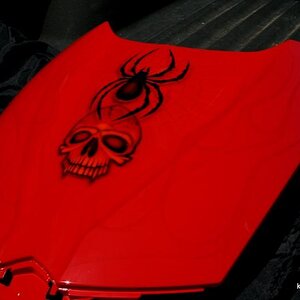 IMG 4709[1]