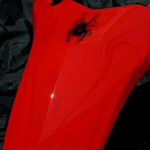 IMG 4731[1]
