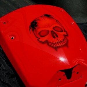 IMG 4737[1]