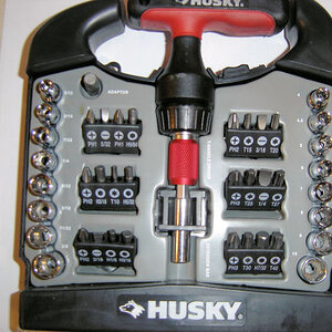 Husky1
