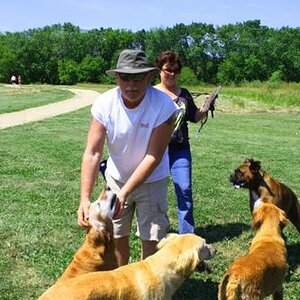 At the Dog Park