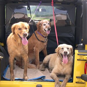 3 DIRTY GIRLS