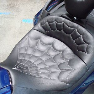 Spyderweb Stiching