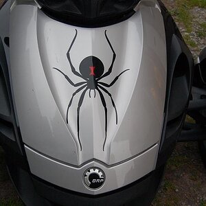 spider