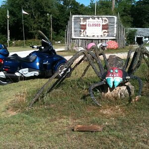 spider vs spyder