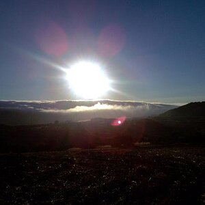 Sun and Fog!