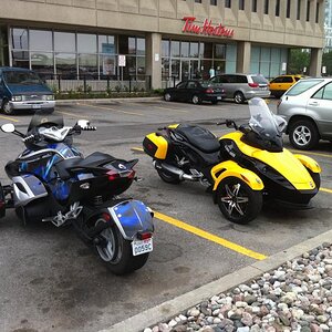 Spyders