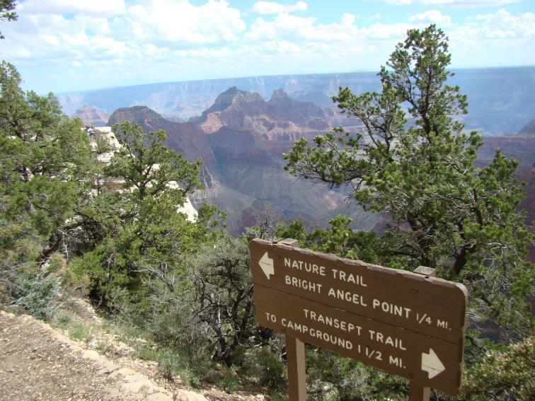 136 GrandCanyon 145