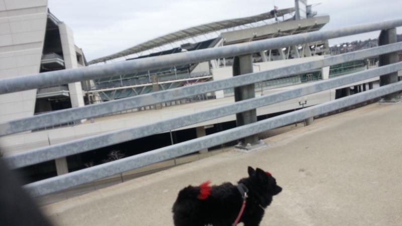 20130304 164017