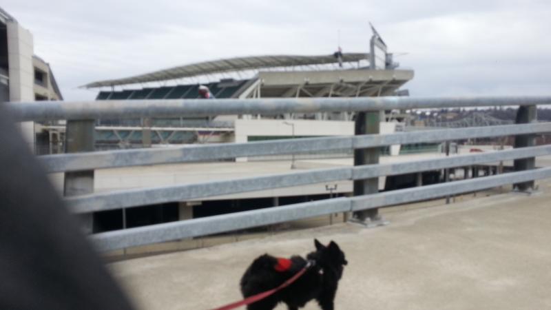20130304 164021
