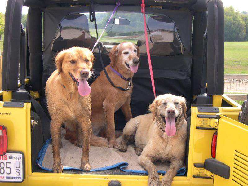 3 DIRTY GIRLS