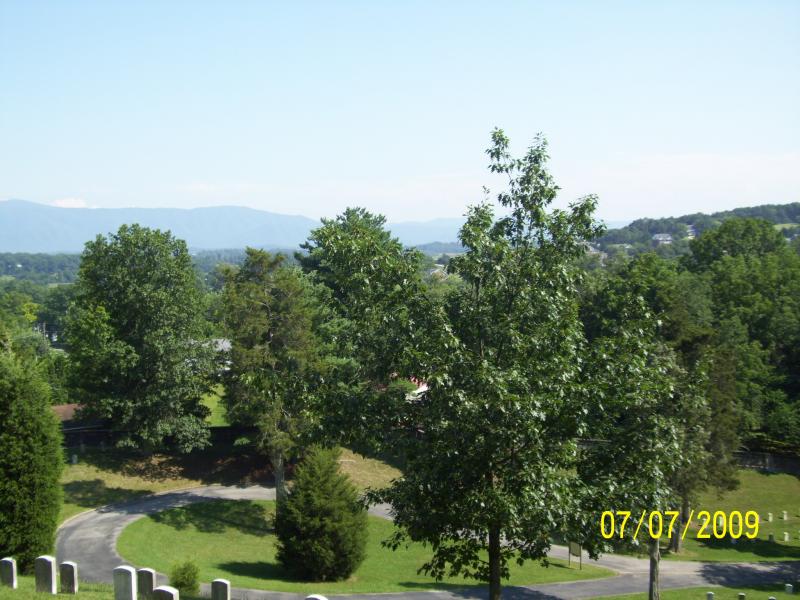 Another view.
