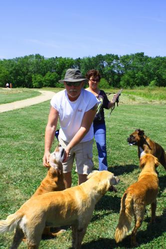 At the Dog Park