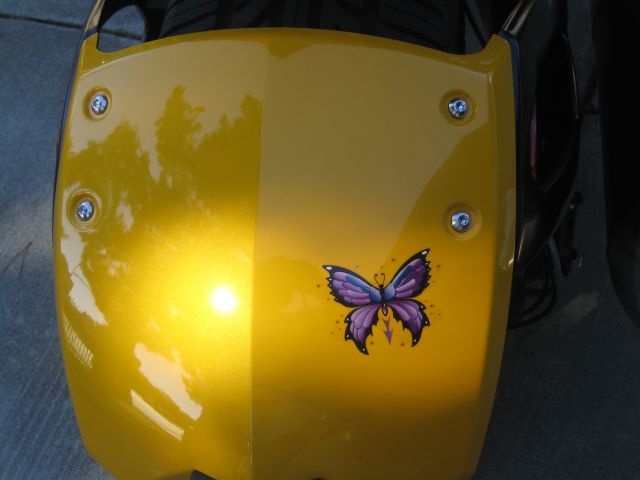 Back Butterfly1