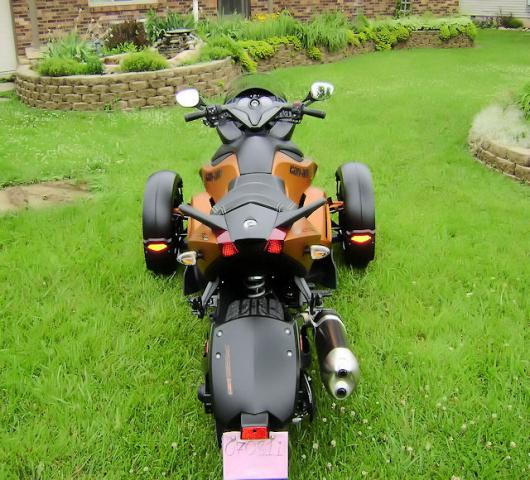 back view
