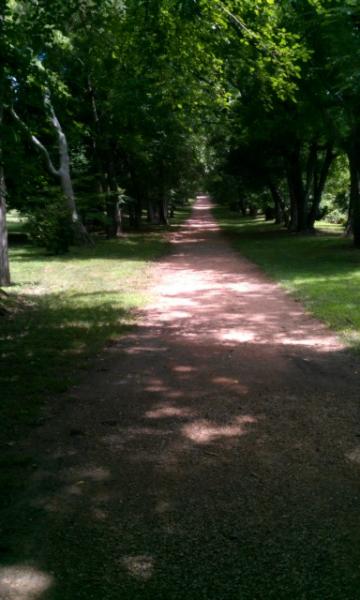 berkelyplantation5
