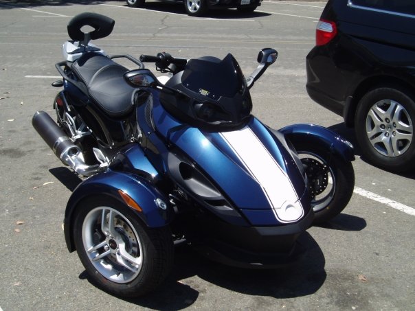 Blue spyder