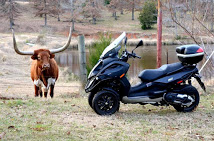bullbug 36547