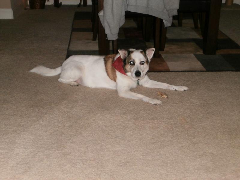 buster