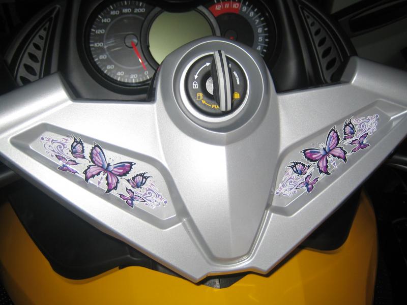 butterflys