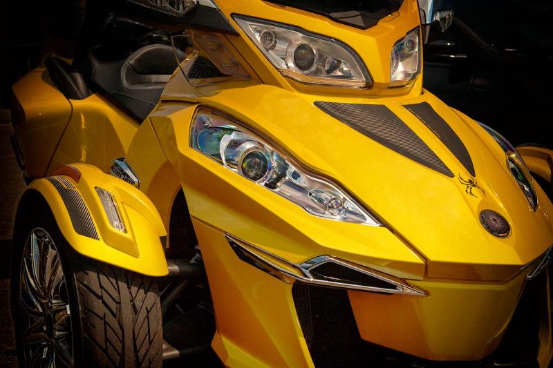 CanAm Fever
