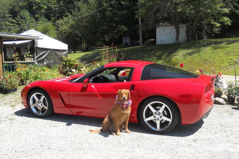 Corvette & rusty