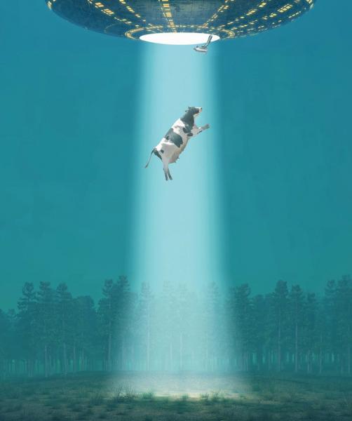 cowufo