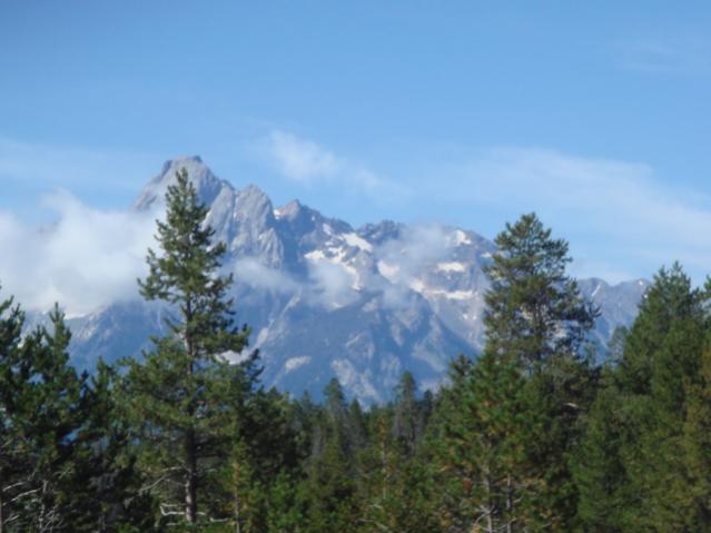 DSC07081