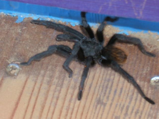 DSCF0543