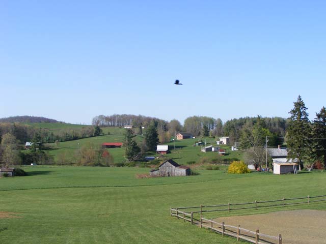 DSCF1677