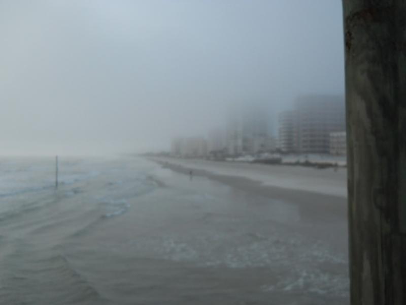 DSCN0950
