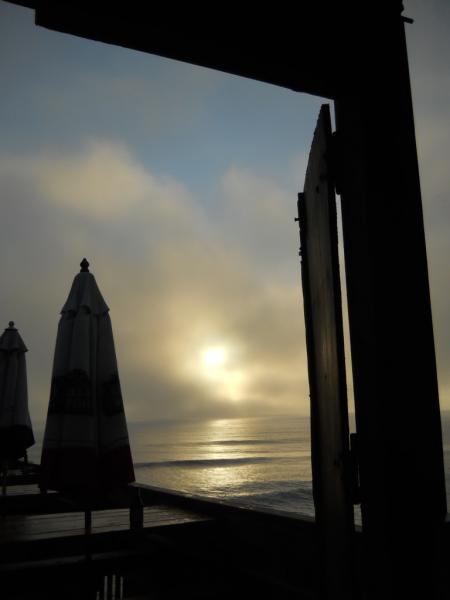 DSCN0961