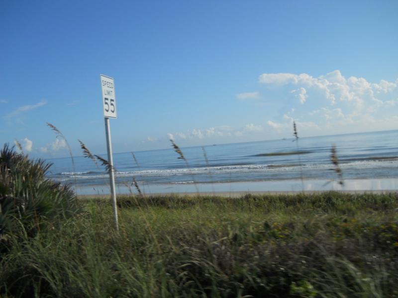 DSCN1004