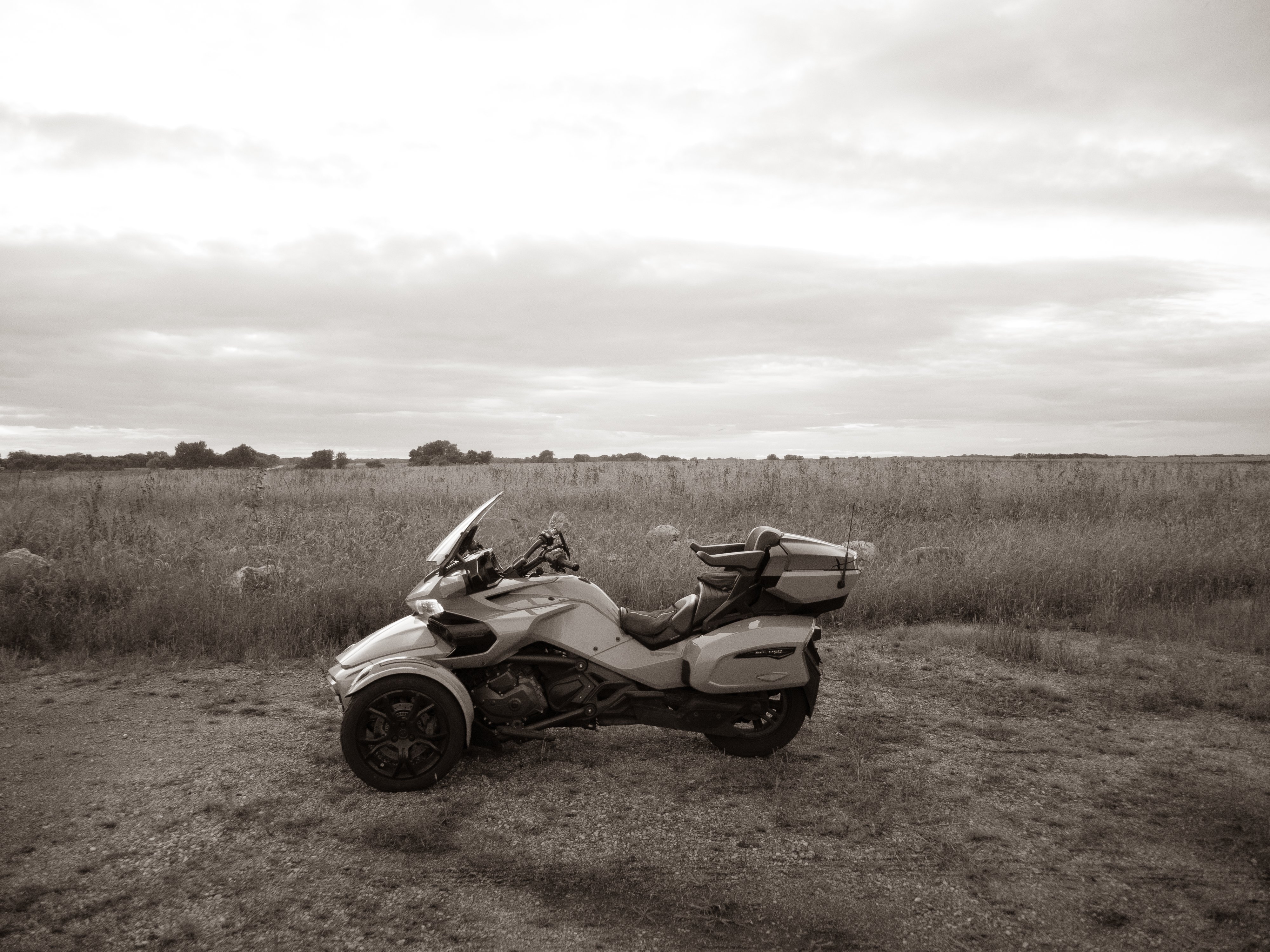DSCN8575.jpg