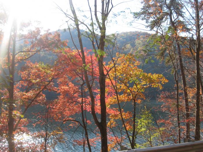 fall color