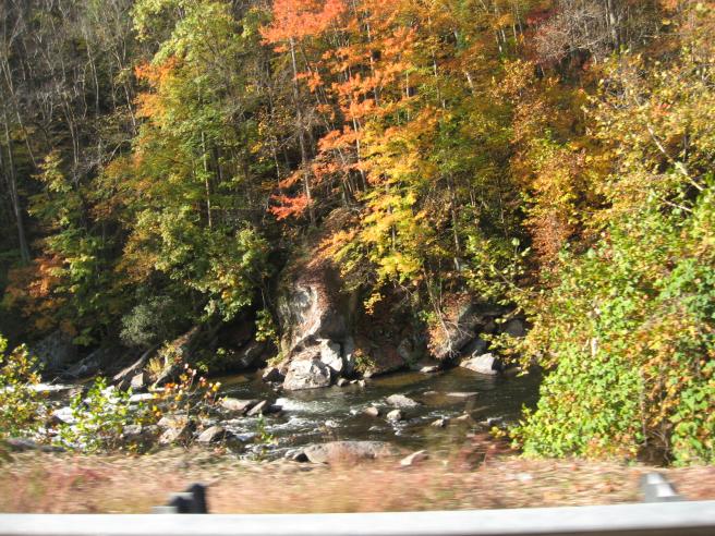 fall