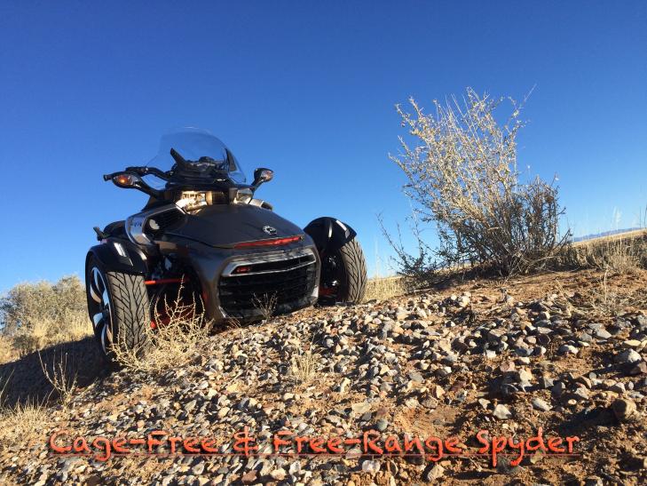 Free Range Spyder 2