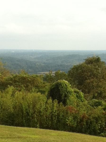 Great View 2