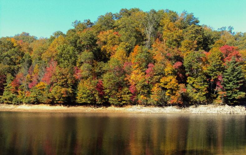 Hiawassee Lake