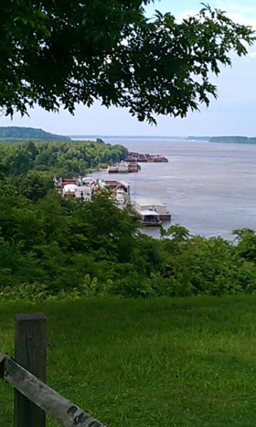 IMAG0629