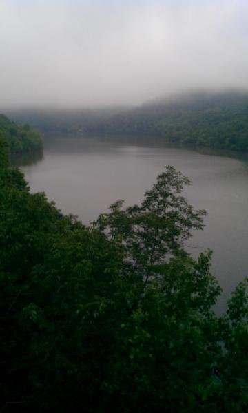 IMAG0685
