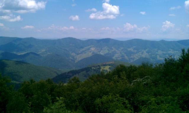 IMAG0695